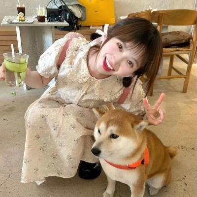 美好生活手册